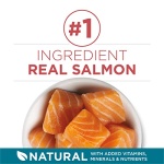 Purina ONE Natural Dry Cat Food, Tender Selects Blend With Real Salmon - 7 lb. Bag - Image 3
