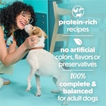 Beneful Purina Small Breed Wet Dog Food Variety Pack, IncrediBites With Real Beef, Chicken and Salmon - (Pack of 30) 3 Oz. Cans - Image 4