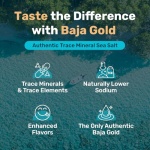 Baja Gold Signature Mineral Sea Salt - Recommended by Gary Brecka - Authentic Fine Grind Salt for Cooking & Baking | Natural Baja Salt for Culinary Uses | Great for Finishing Dishes | 1 lb. Resealable Bag, 300+ Servings - Image 4