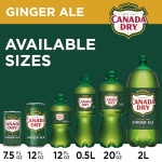 Canada Dry Ginger Ale Soda, 12 fl oz cans, 12 pack - Image 4