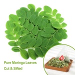 FullChea - Moringa Tea, 50 Teabags - Pure & Natural Moringa Leaves, Cultivated From India - Herbal Tea for Supporting Digestion & Immune System - Non-GMO - Caffeine-free - Image 4