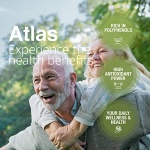 Atlas 1 LT Cold Press Extra Virgin Olive Oil with Polyphenol Rich from Morocco | Newly Harvested Unprocessed from One Single Family Farm | Moroccan Organic EVOO Trusted by Award-Winning Chefs - Image 4