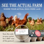 Vital Farms, Eggs Pasture Raised Large, 18 Count - Image 4