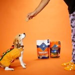 Blue Buffalo Health Bars Crunchy Dog Biscuits, Oven-Baked with Natural Ingredients, Pumpkin & Cinnamon, 16-oz Bag - Image 3