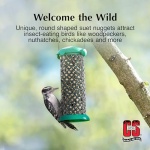 C&S Woodpecker Suet Nuggets 27 Ounces, 6 Pack - Image 4