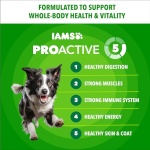 IAMS Proactive Health Adult Minichunks Premium Dry Dog Food, Adult Dog Food Dry Recipe, 30 lb. Bag - Image 4