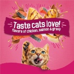 Purina Friskies Gravy Swirlers With Flavors of Chicken, Salmon and Gravy Dry Cat Food - 3.15 lb. Bag - Image 4