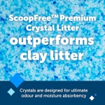 PetSafe ScoopFree Premium Crystal Cat Litter - Outperforms Clay Litter - Refill Packs - Reusable Tray Compatible - Fresh Scent - 4.3 lb Bags - 2 Pack - Image 3