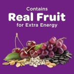 Kaytee Nut & Fruit Wild Bird Seed, 5 lb - Image 3